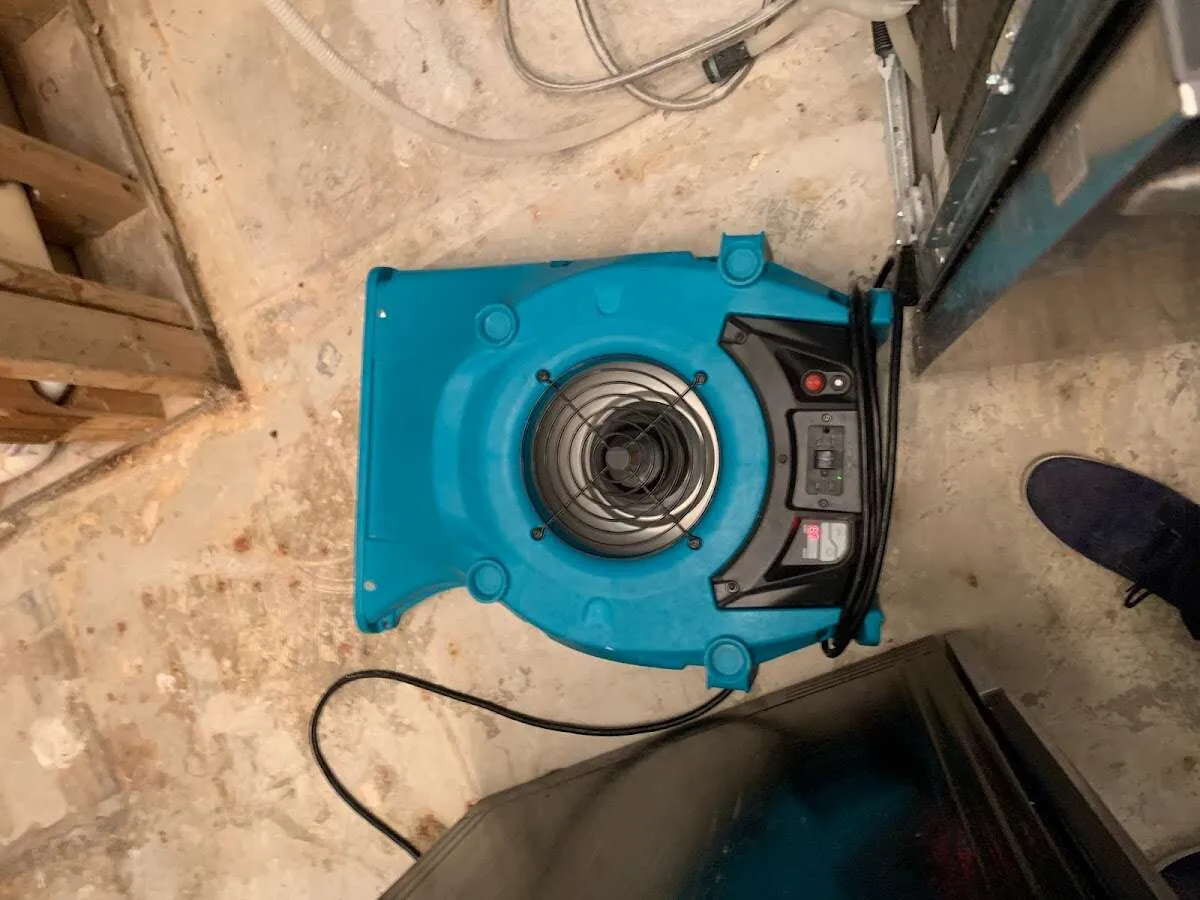 Air mover drying equipment for Mold Remediation & Removal in Merchantville